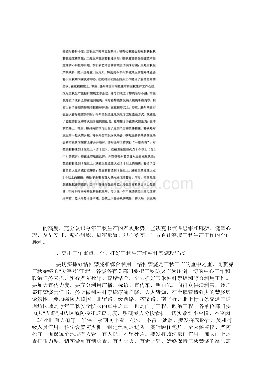 秸秆禁烧工作会议讲话稿文档格式.docx_第2页