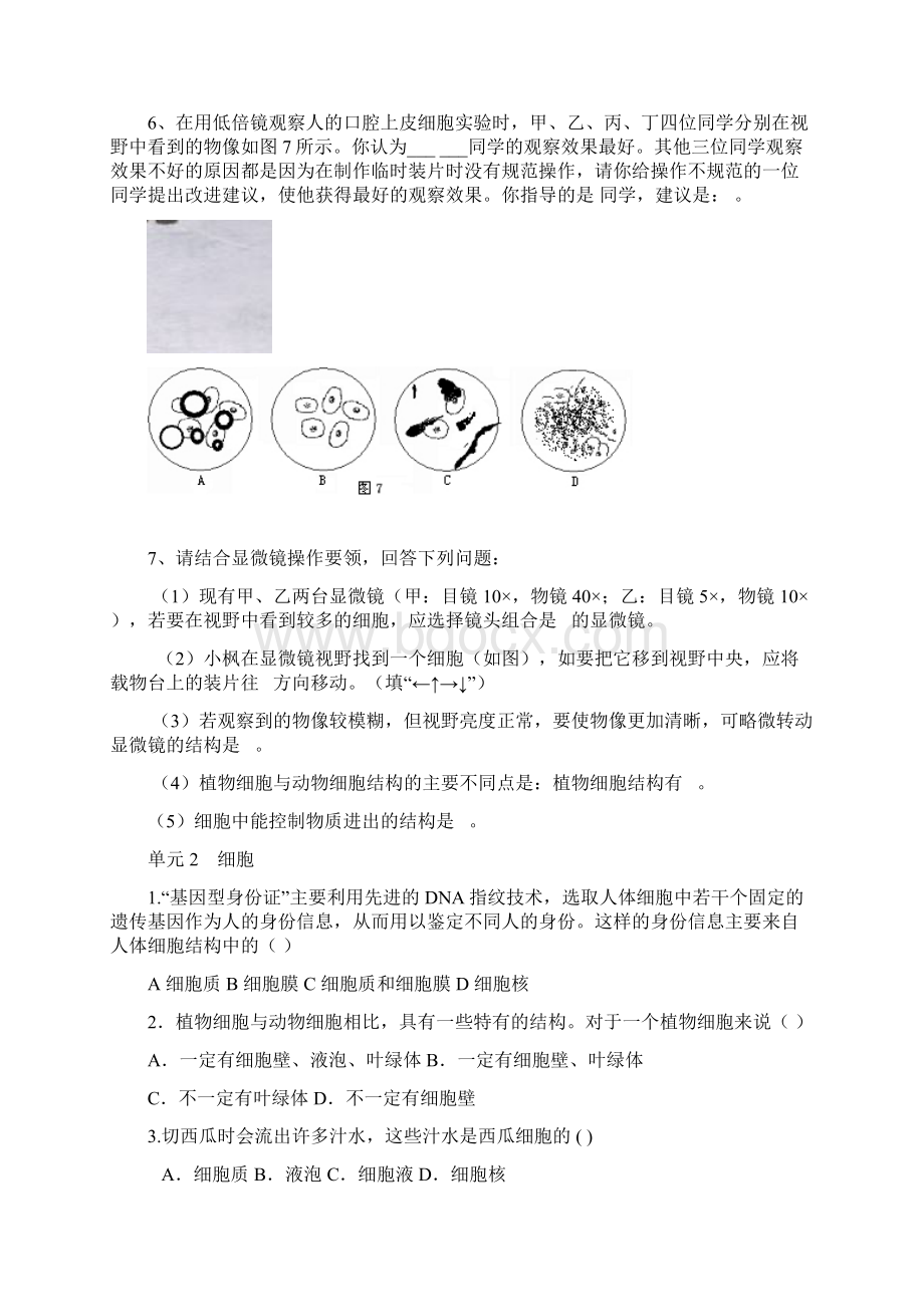 中考生物复习资料1 徐燕云.docx_第2页