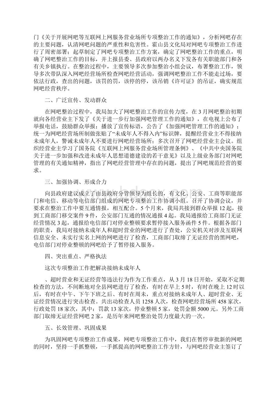 专项整治工作汇报Word下载.docx_第2页