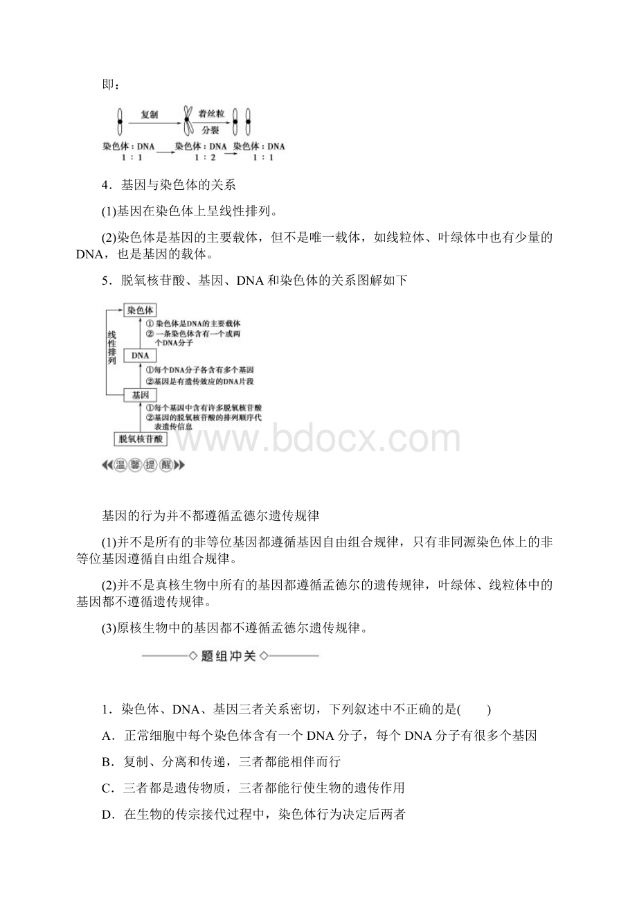 中图版必修二 321 认识基因 学案Word文档格式.docx_第3页