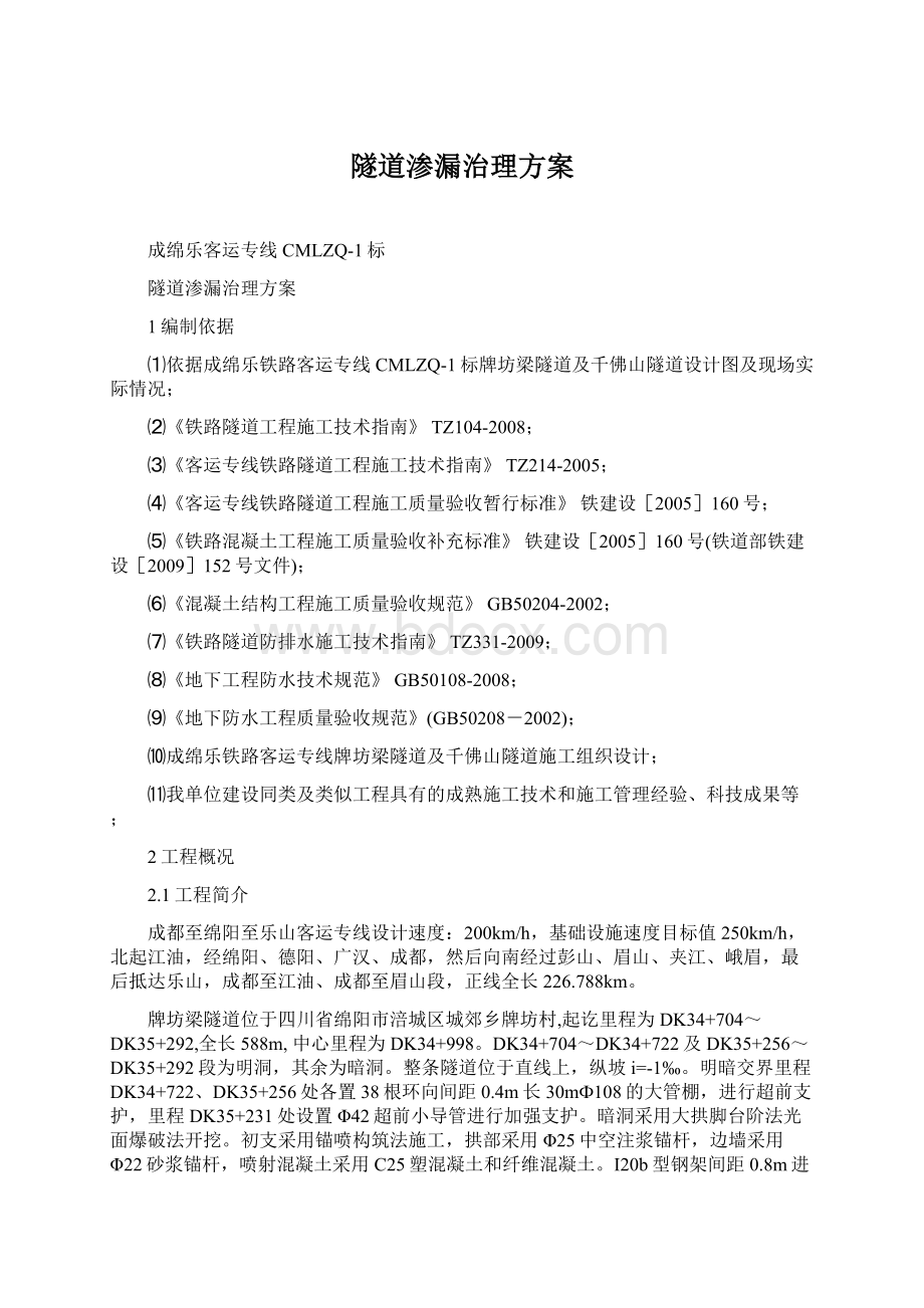 隧道渗漏治理方案文档格式.docx_第1页