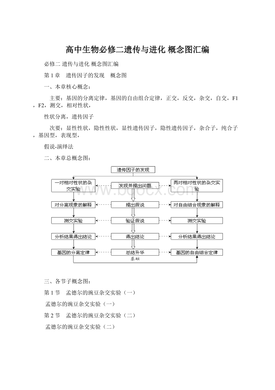 高中生物必修二遗传与进化 概念图汇编.docx