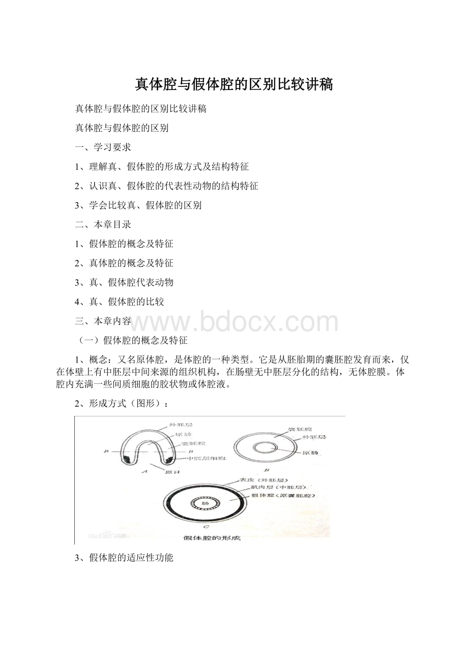 真体腔与假体腔的区别比较讲稿Word文档格式.docx_第1页