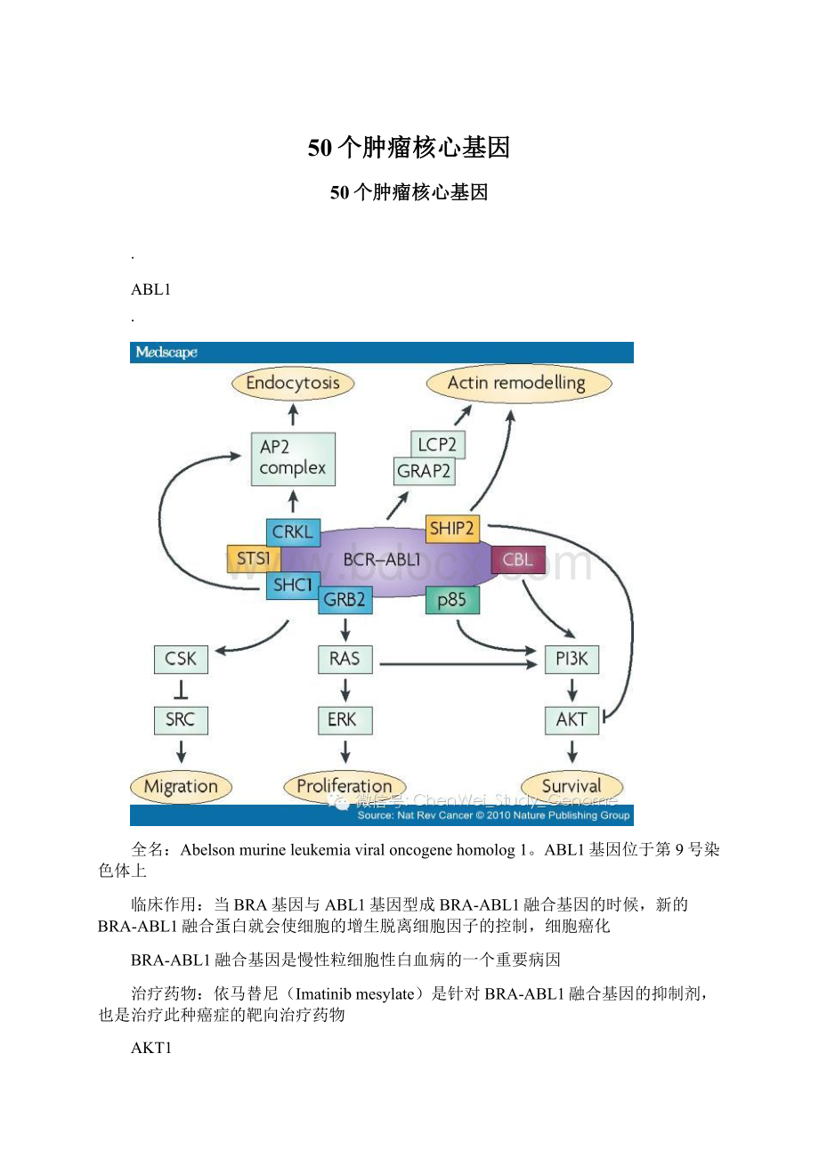 50个肿瘤核心基因.docx