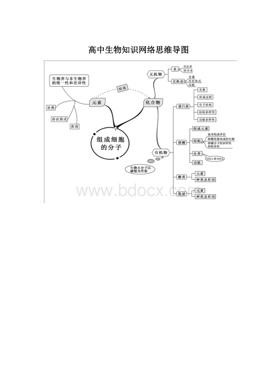 高中生物知识网络思维导图文档格式.docx