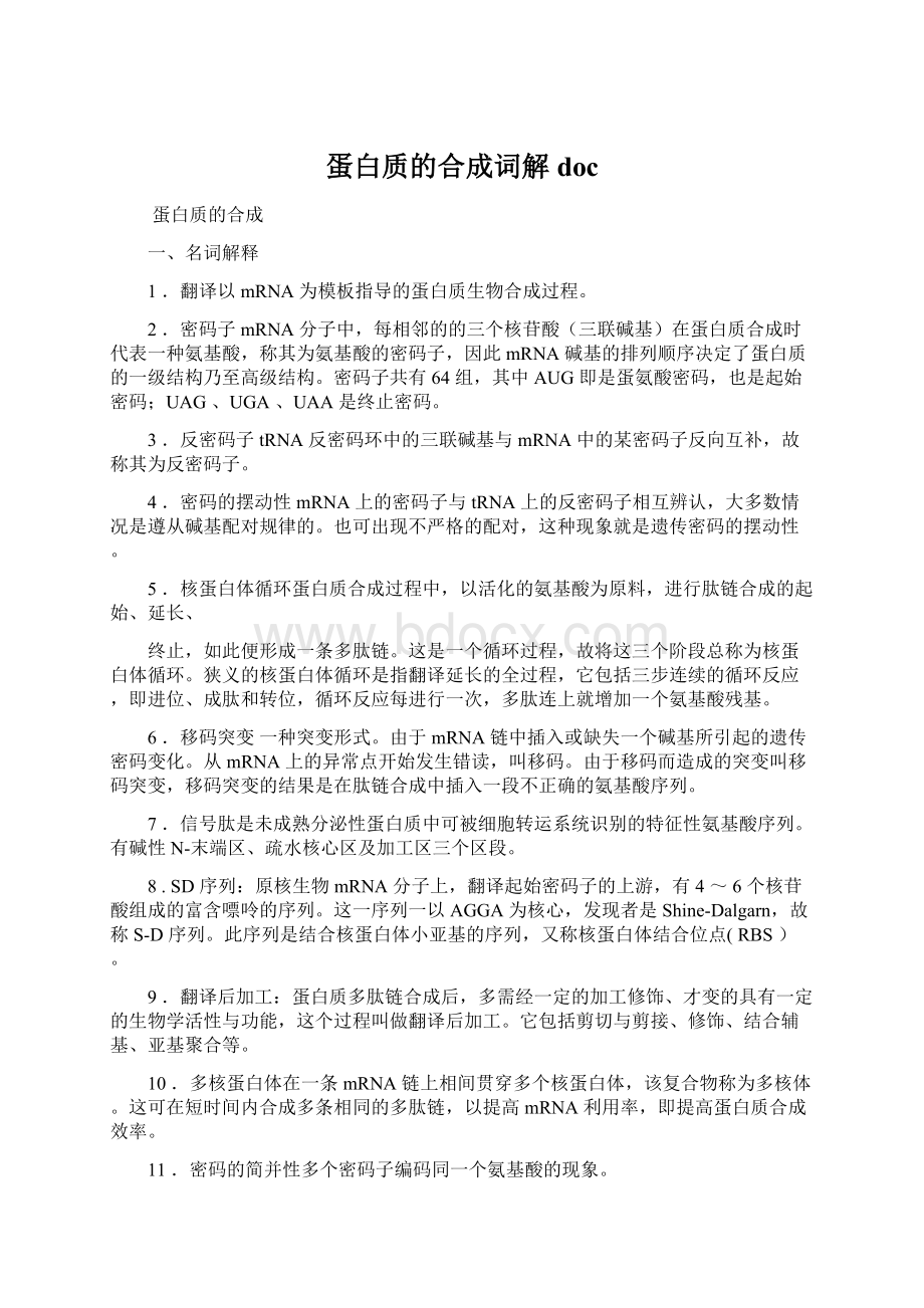 蛋白质的合成词解docWord格式文档下载.docx_第1页