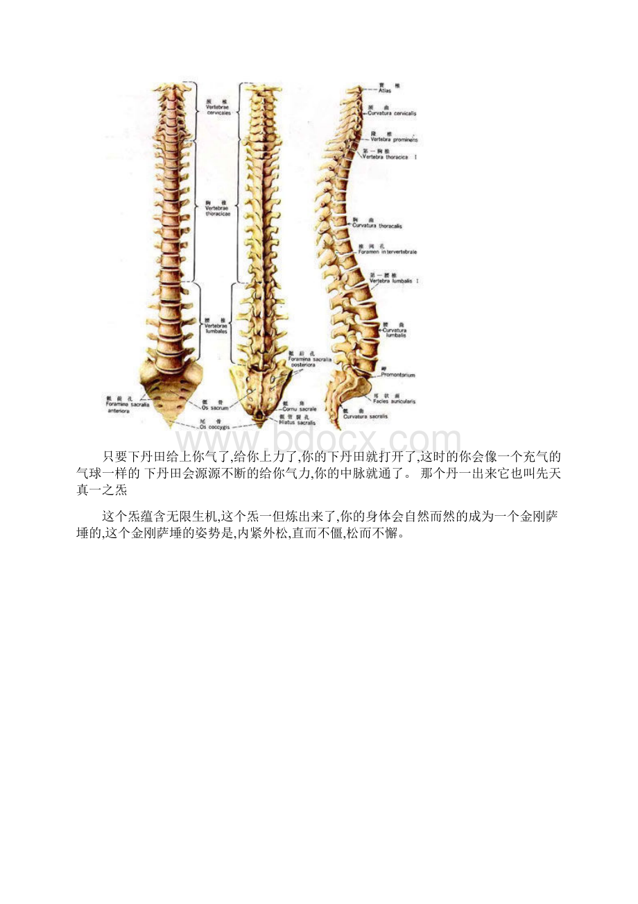 从上往下通中脉的方法Word下载.docx_第3页