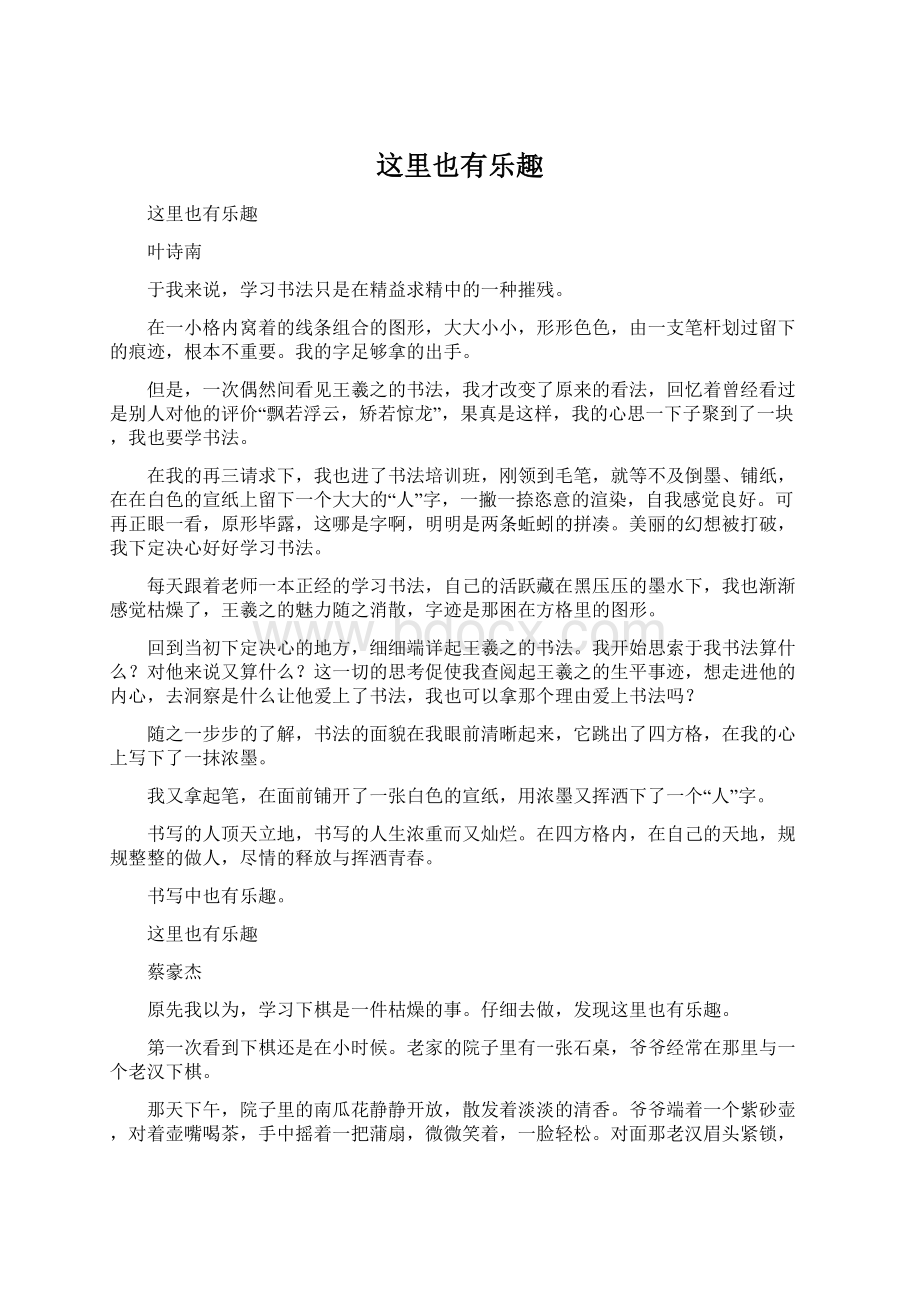 这里也有乐趣Word格式文档下载.docx