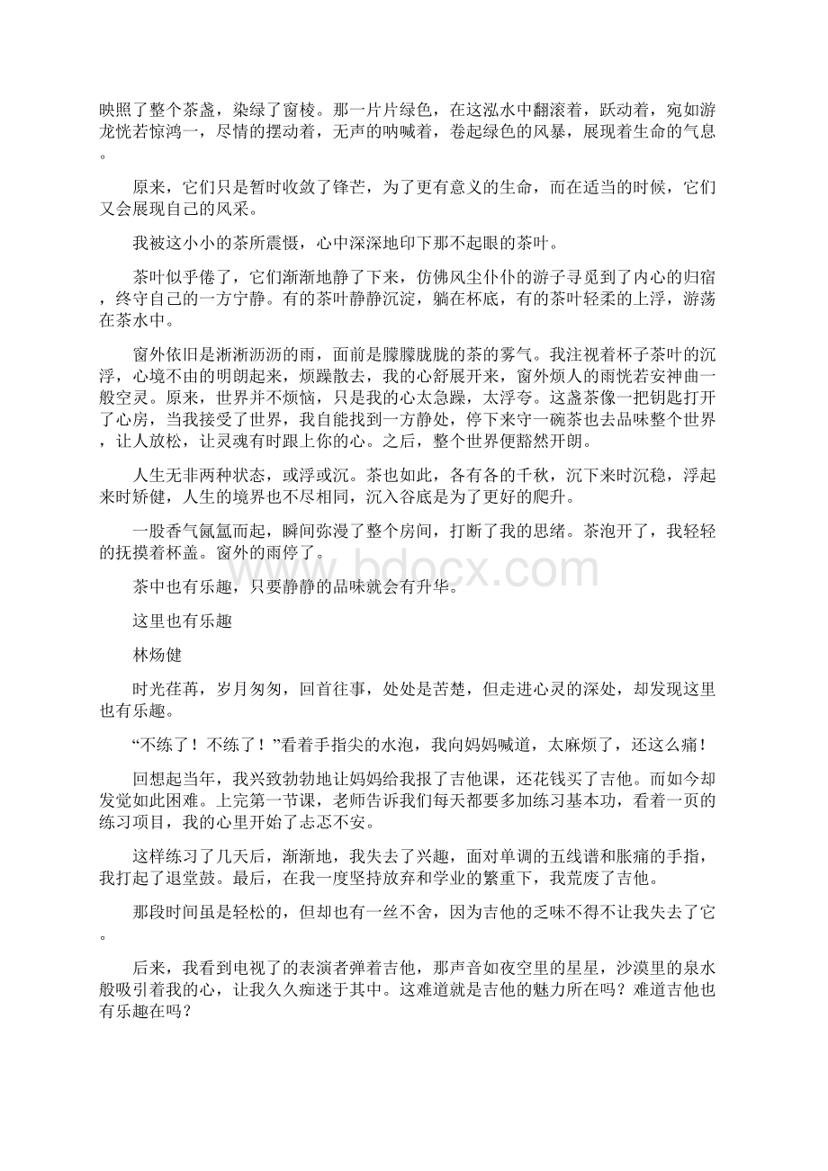 这里也有乐趣Word格式文档下载.docx_第3页