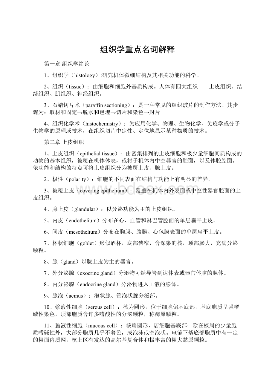 组织学重点名词解释Word文件下载.docx_第1页