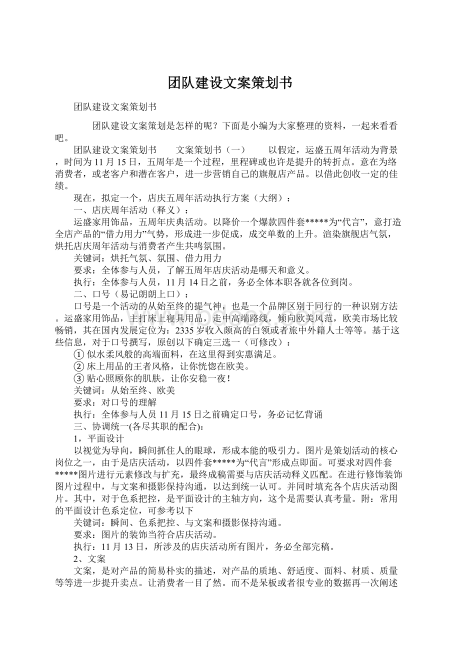 团队建设文案策划书文档格式.docx