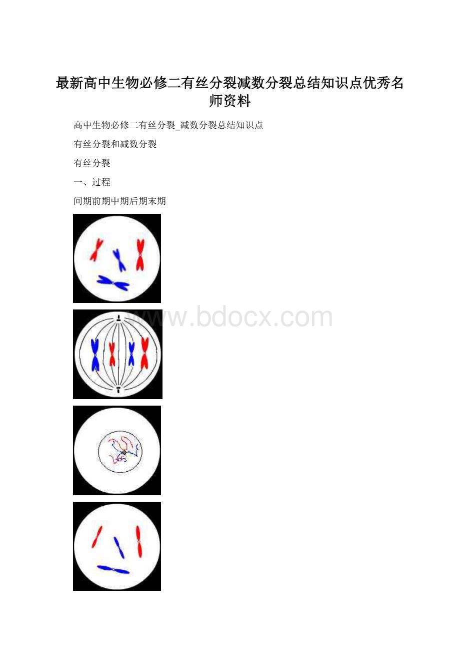 最新高中生物必修二有丝分裂减数分裂总结知识点优秀名师资料.docx