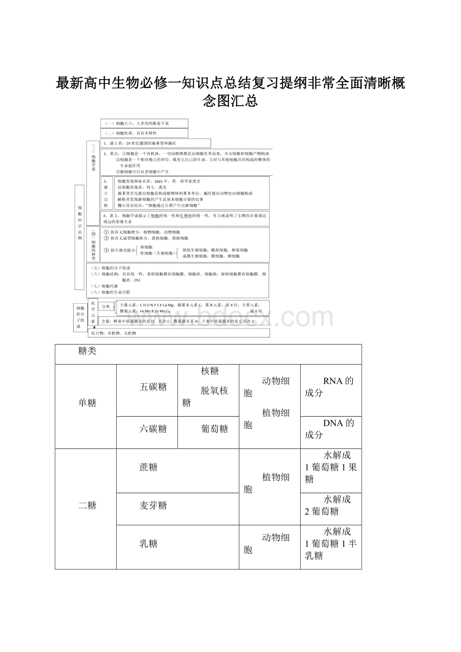 最新高中生物必修一知识点总结复习提纲非常全面清晰概念图汇总Word格式.docx_第1页