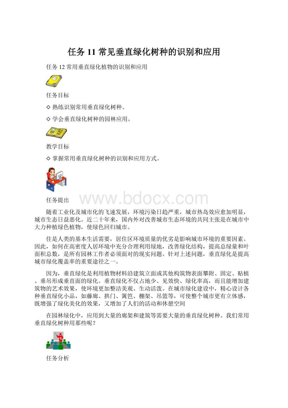 任务11 常见垂直绿化树种的识别和应用Word文档格式.docx