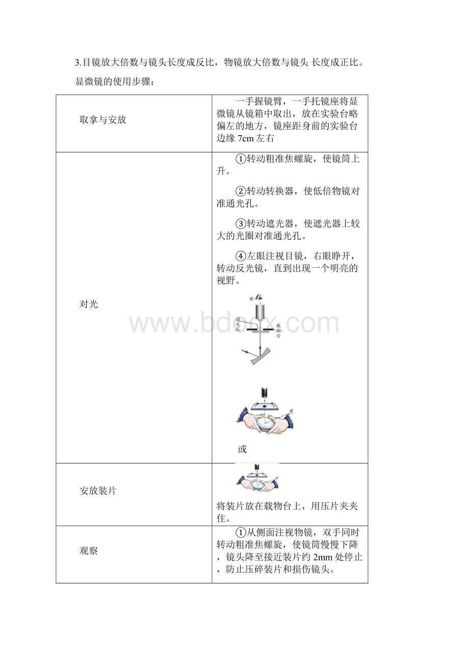 济南版初中生物知识点大全汇编.docx_第3页