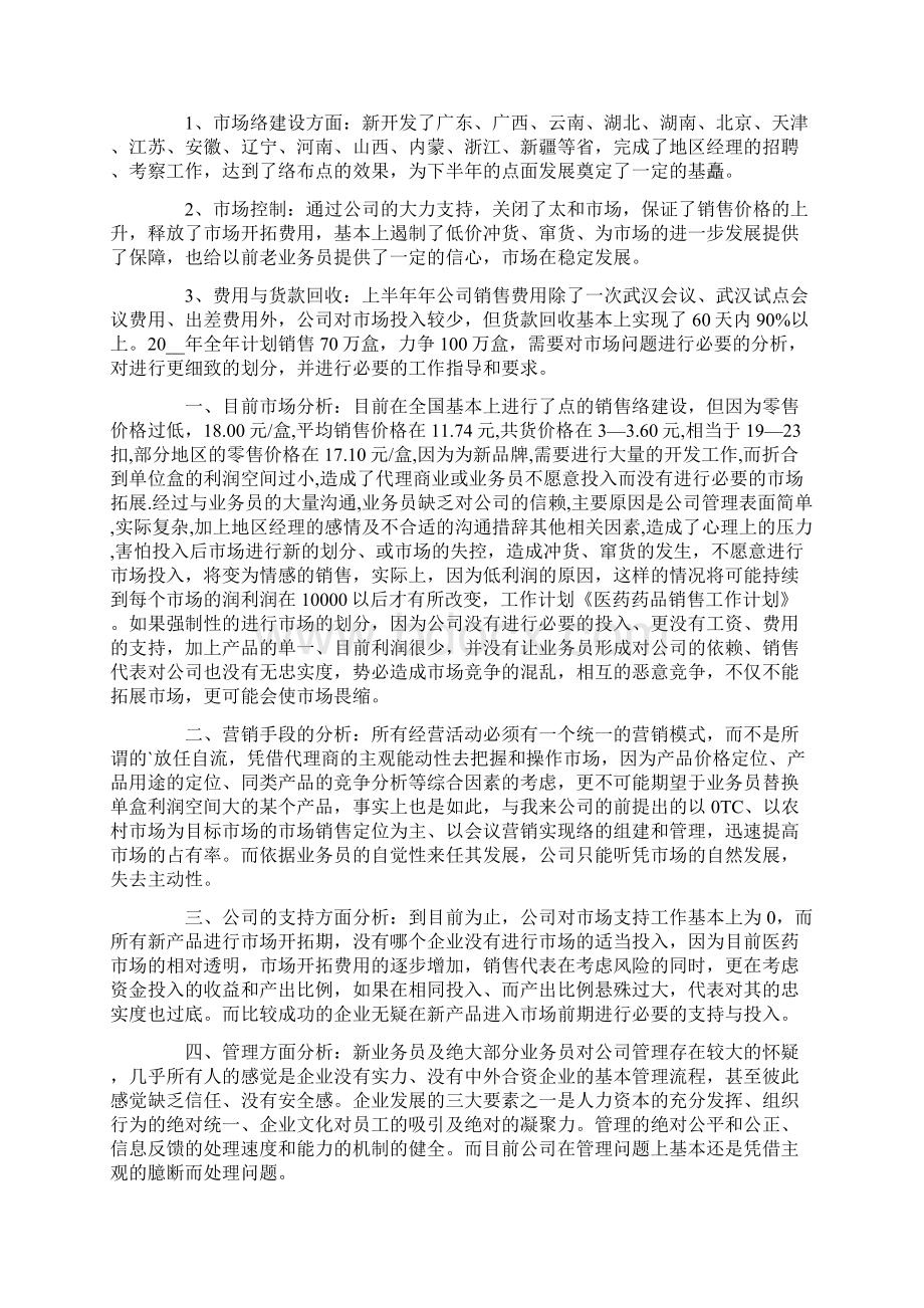 药品销售年度工作计划.docx_第2页