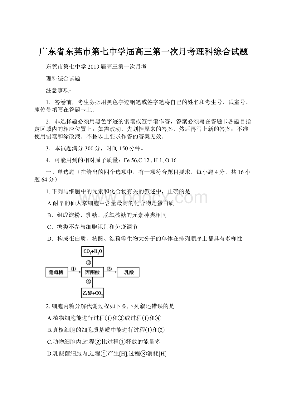 广东省东莞市第七中学届高三第一次月考理科综合试题.docx