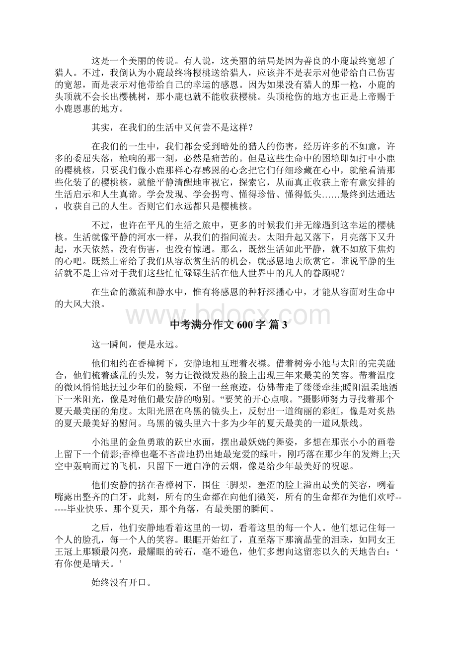 中考满分作文600字集锦六篇文档格式.docx_第2页