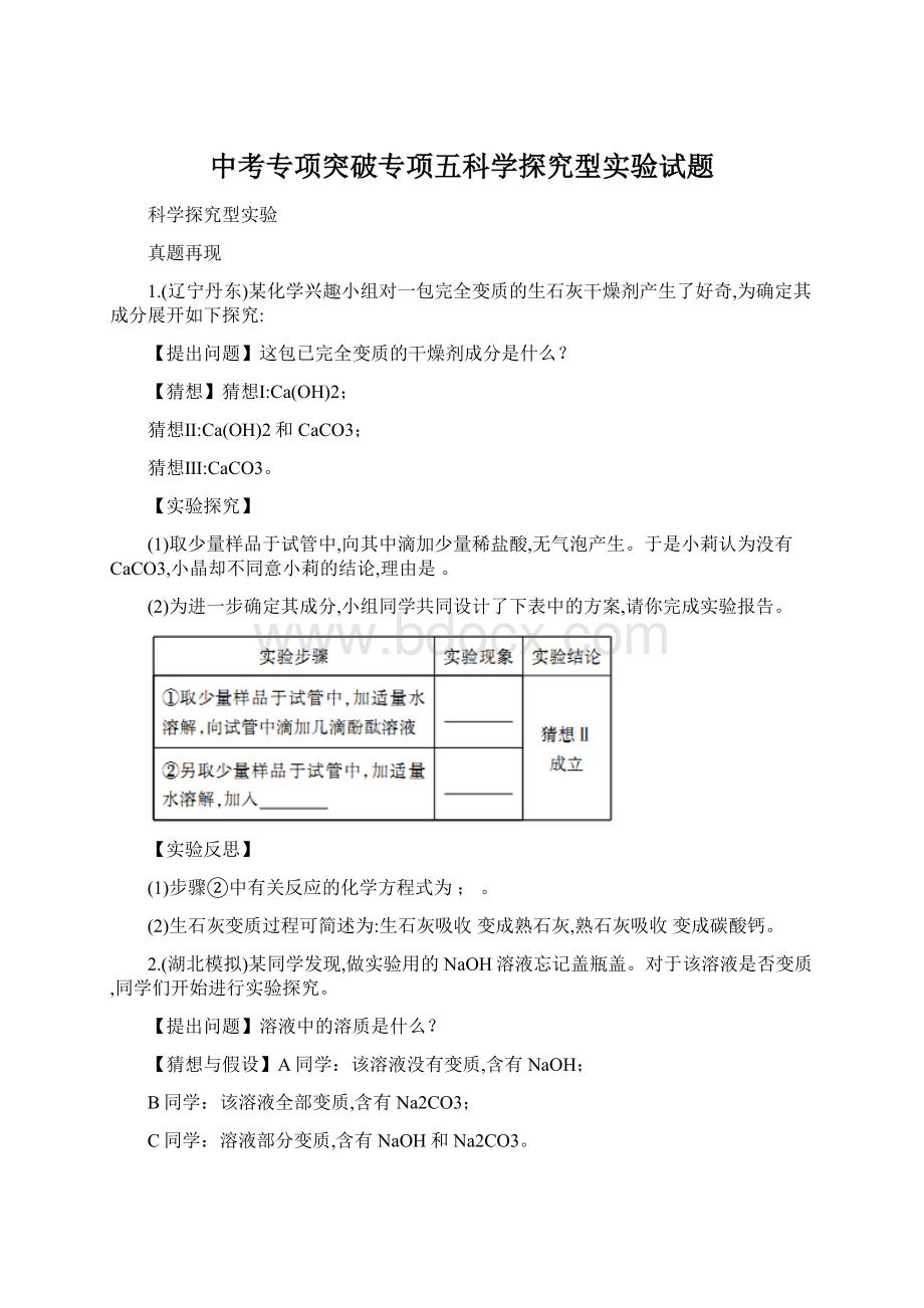 中考专项突破专项五科学探究型实验试题.docx_第1页