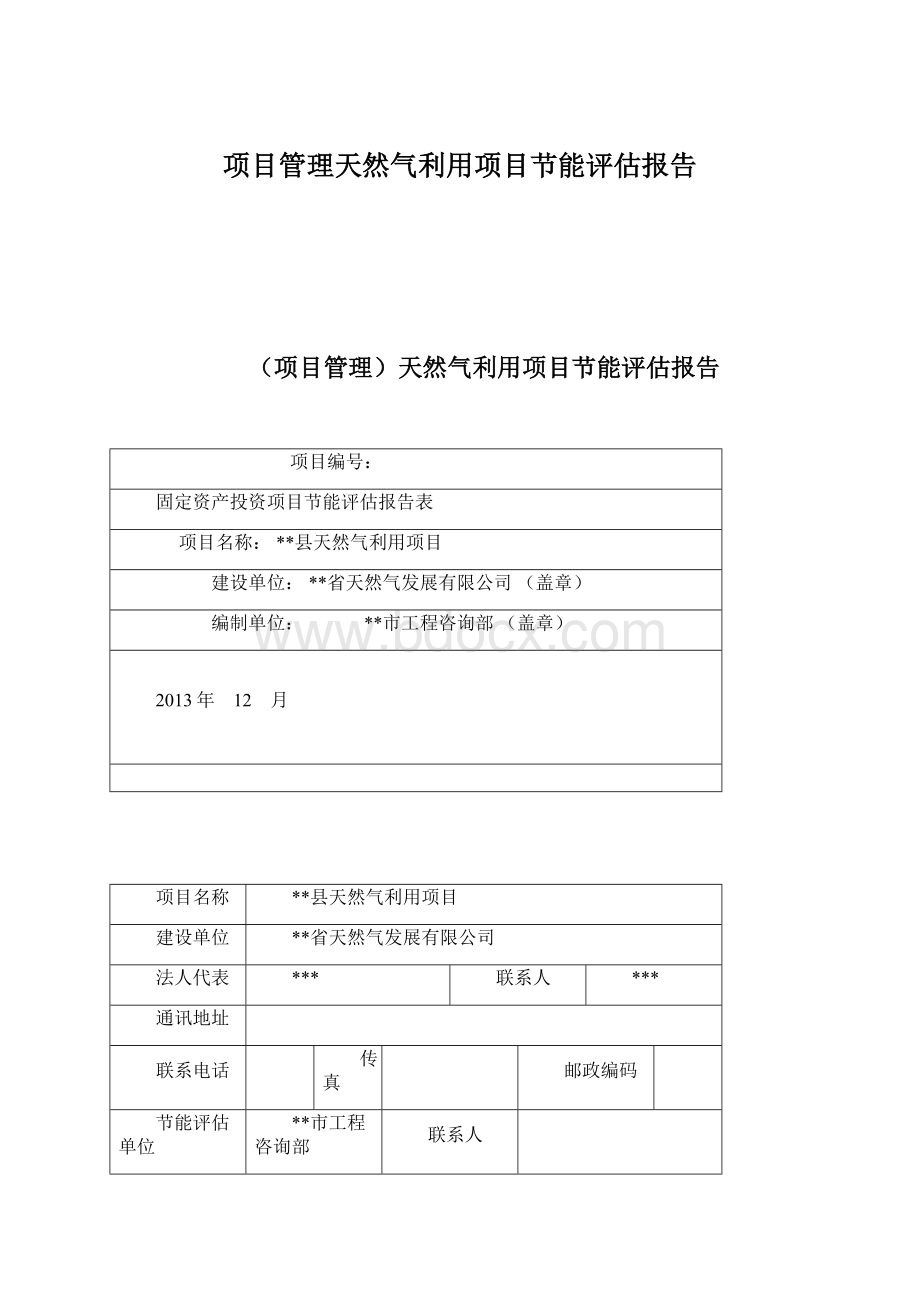 项目管理天然气利用项目节能评估报告文档格式.docx