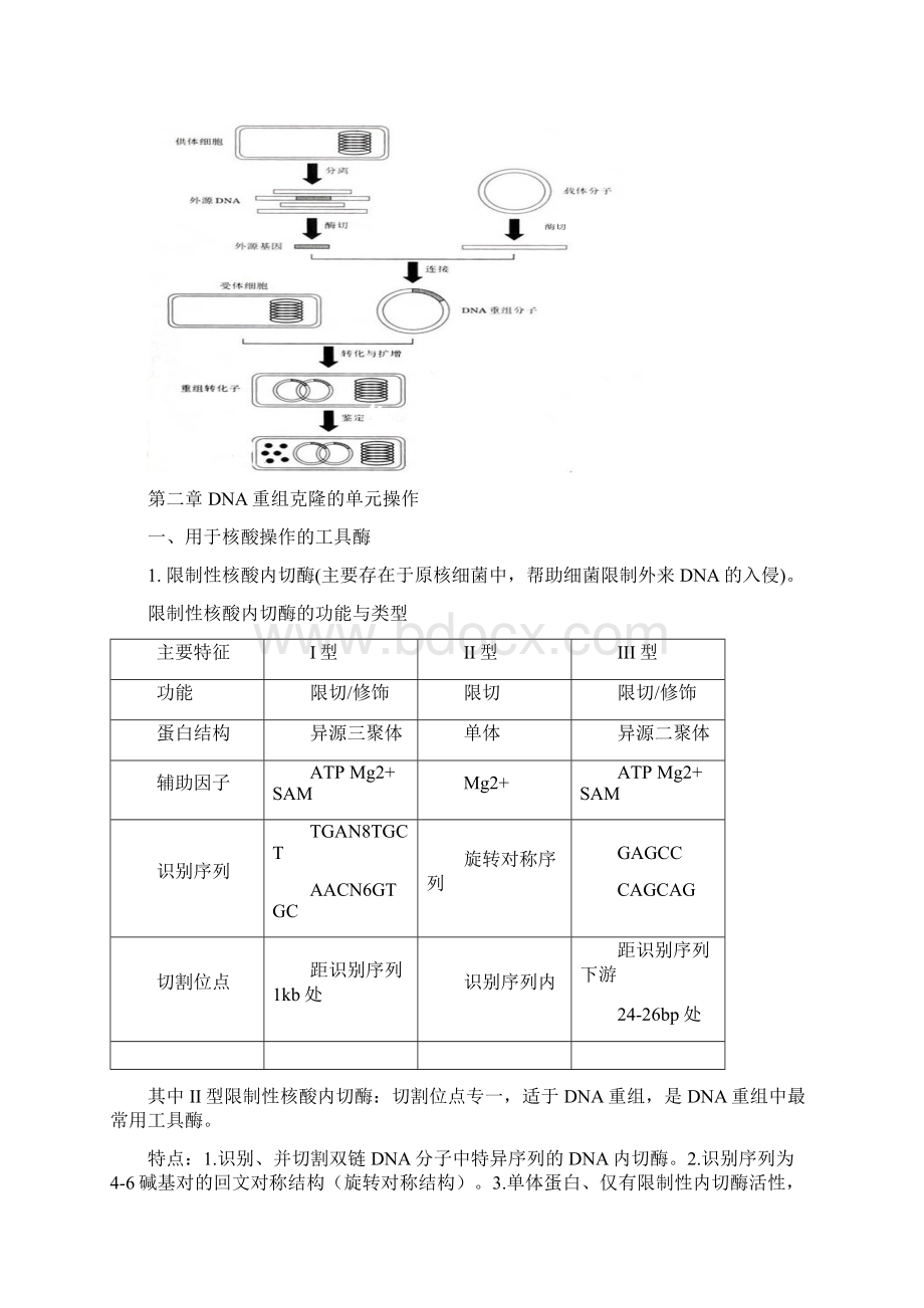 大学《基因工程》复习归纳重点复习资料完整.docx_第2页