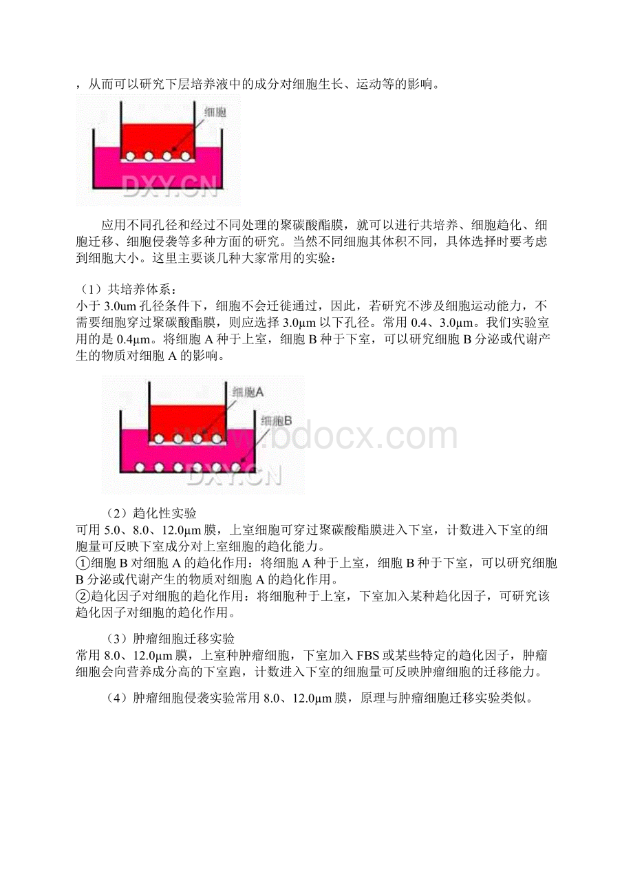 Transwell侵袭实验全面总结.docx_第2页