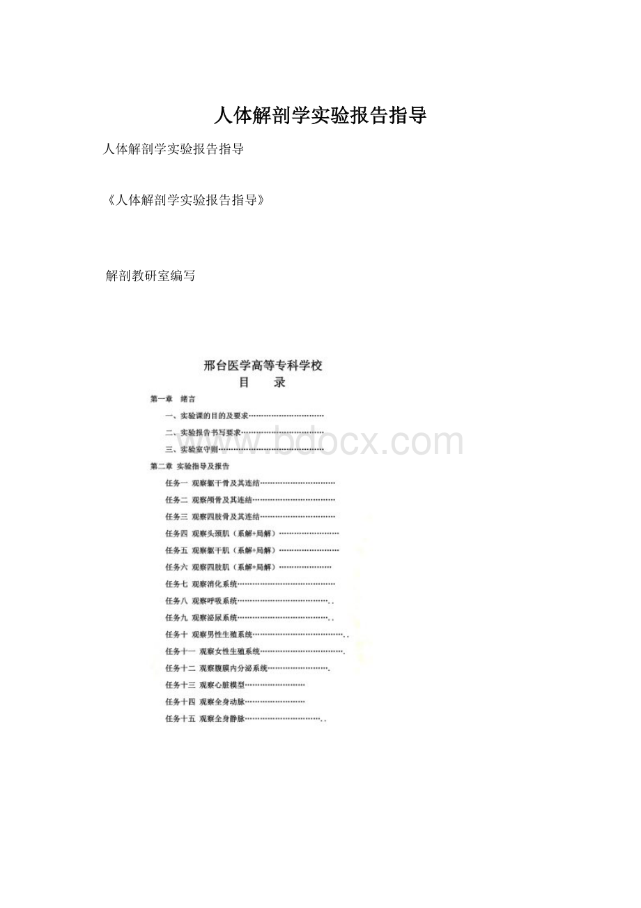 人体解剖学实验报告指导.docx_第1页