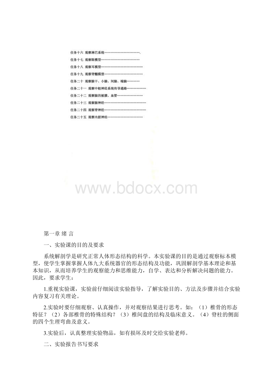 人体解剖学实验报告指导.docx_第2页