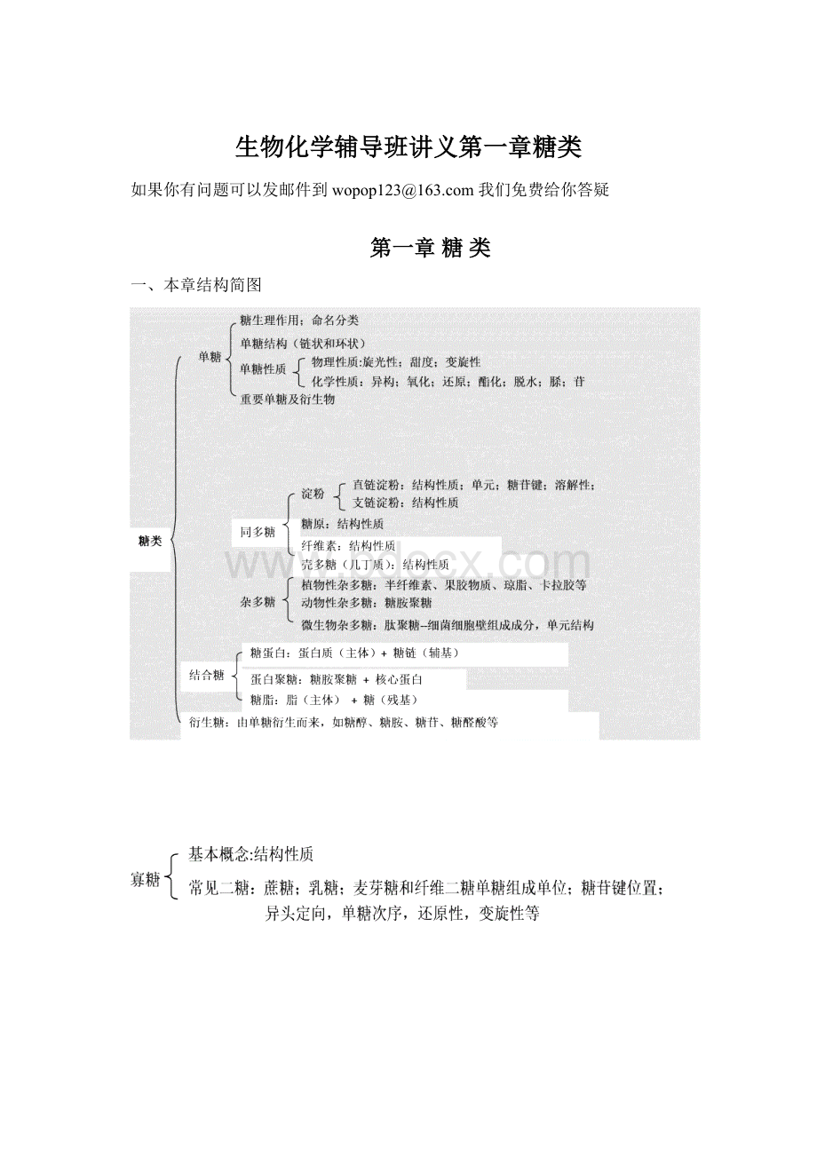 生物化学辅导班讲义第一章糖类.docx_第1页