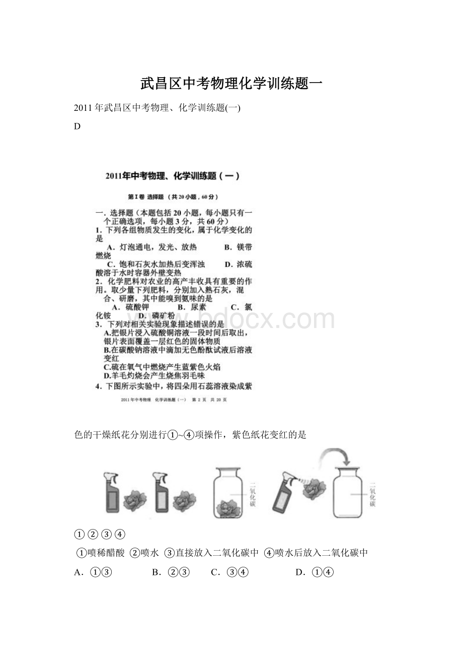 武昌区中考物理化学训练题一.docx