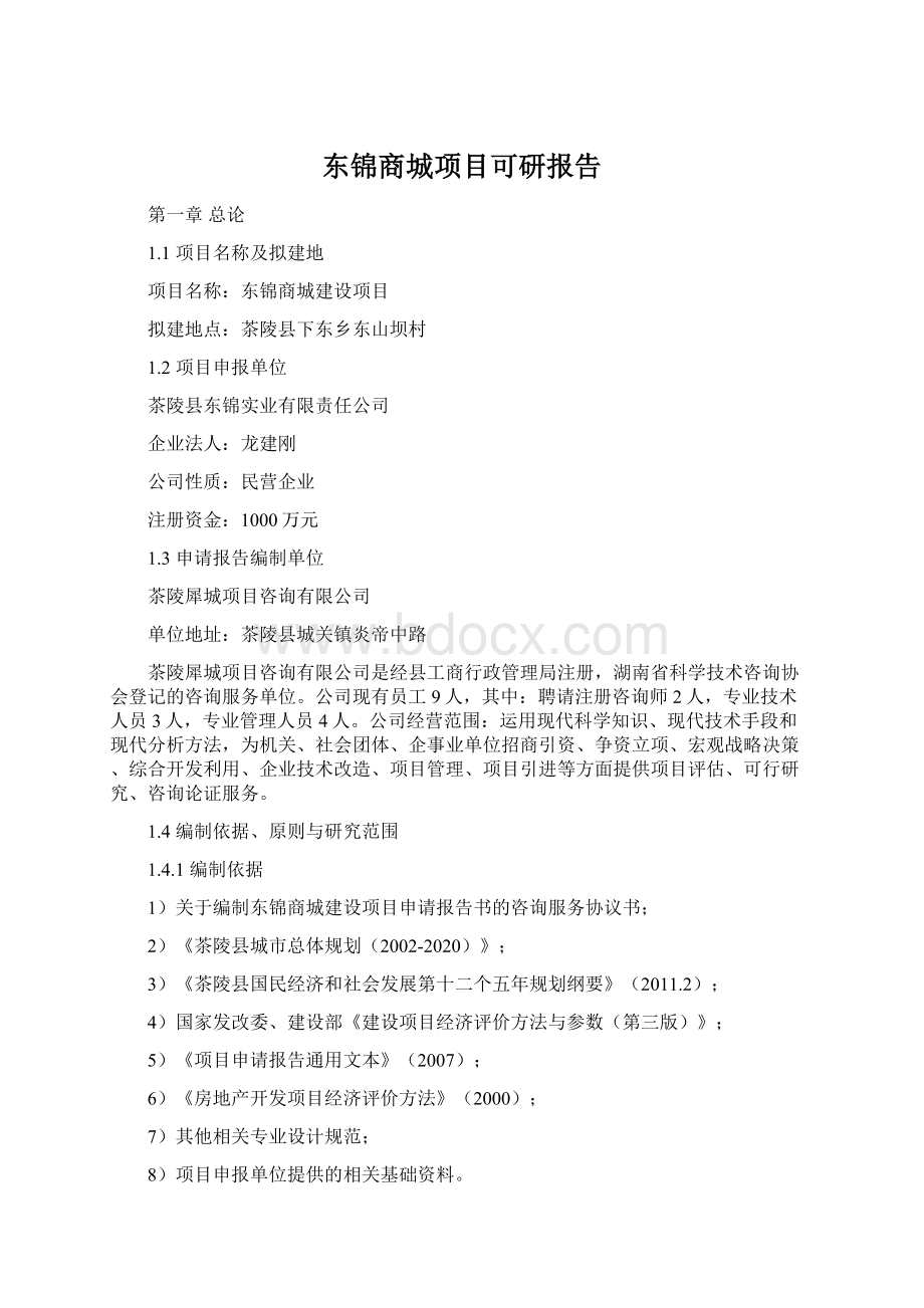 东锦商城项目可研报告.docx_第1页