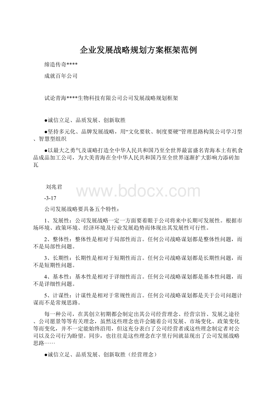 企业发展战略规划方案框架范例Word格式.docx