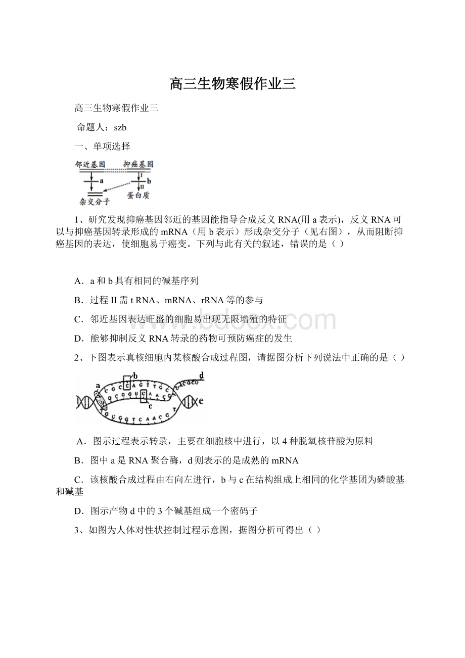 高三生物寒假作业三.docx_第1页