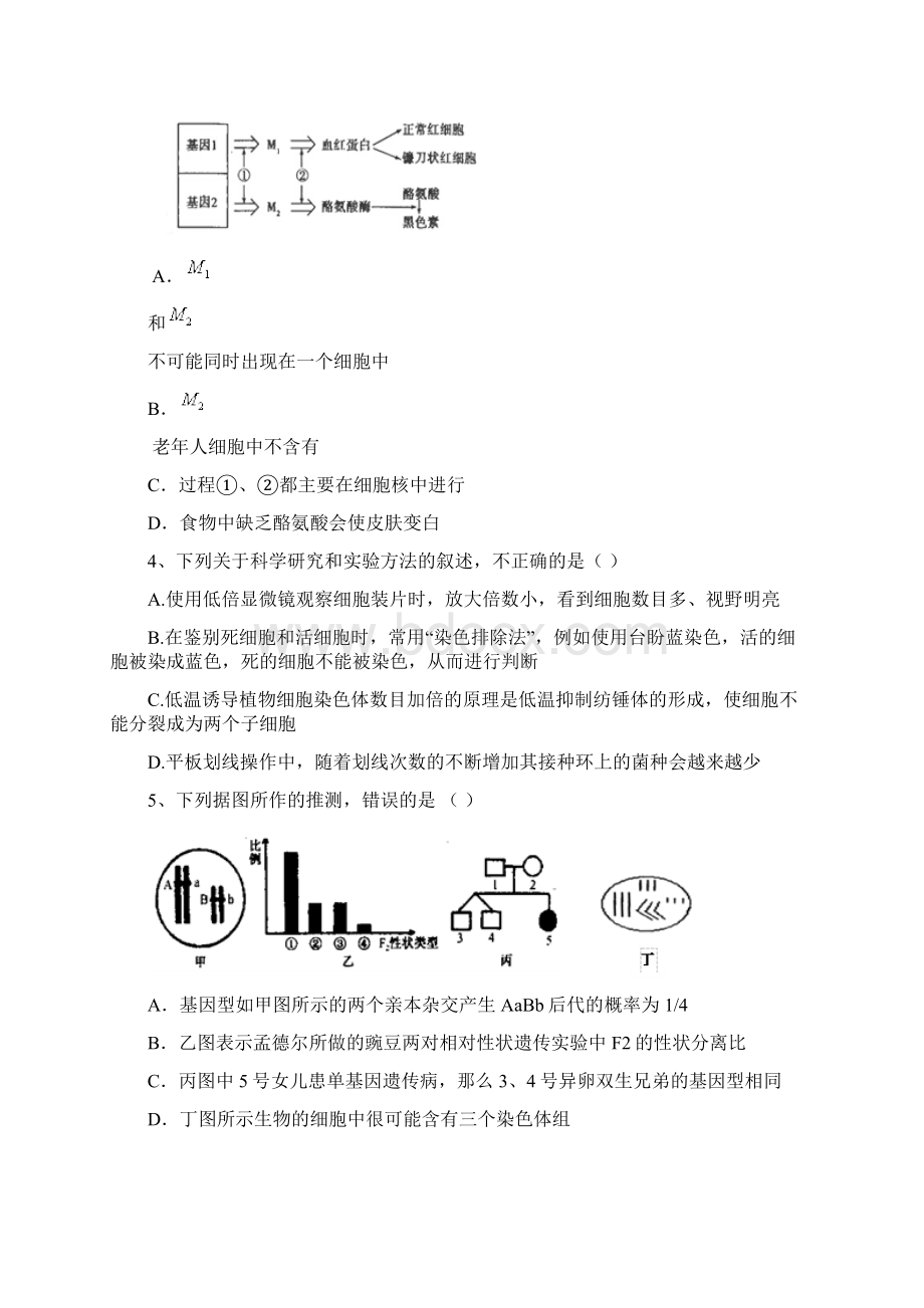 高三生物寒假作业三.docx_第2页