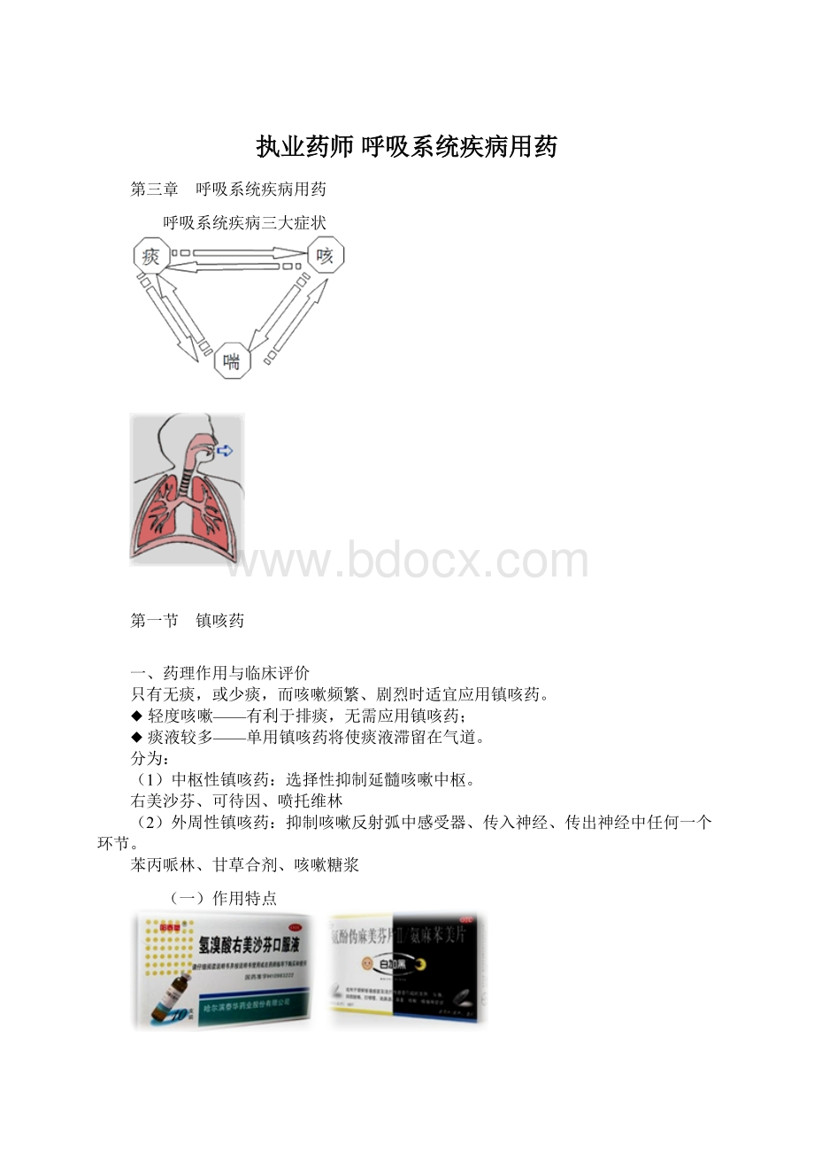 执业药师 呼吸系统疾病用药.docx_第1页