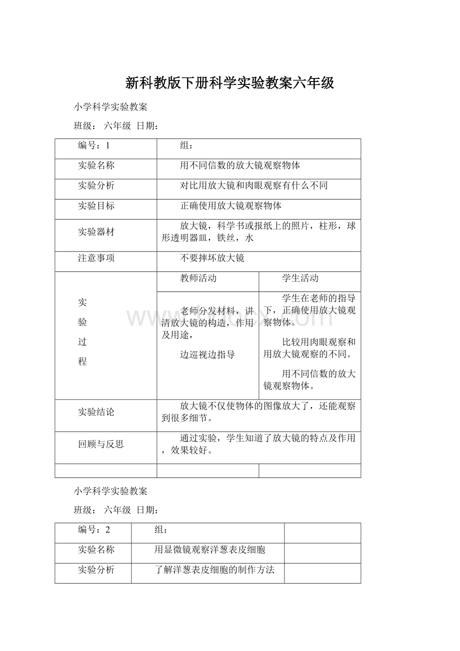 新科教版下册科学实验教案六年级.docx