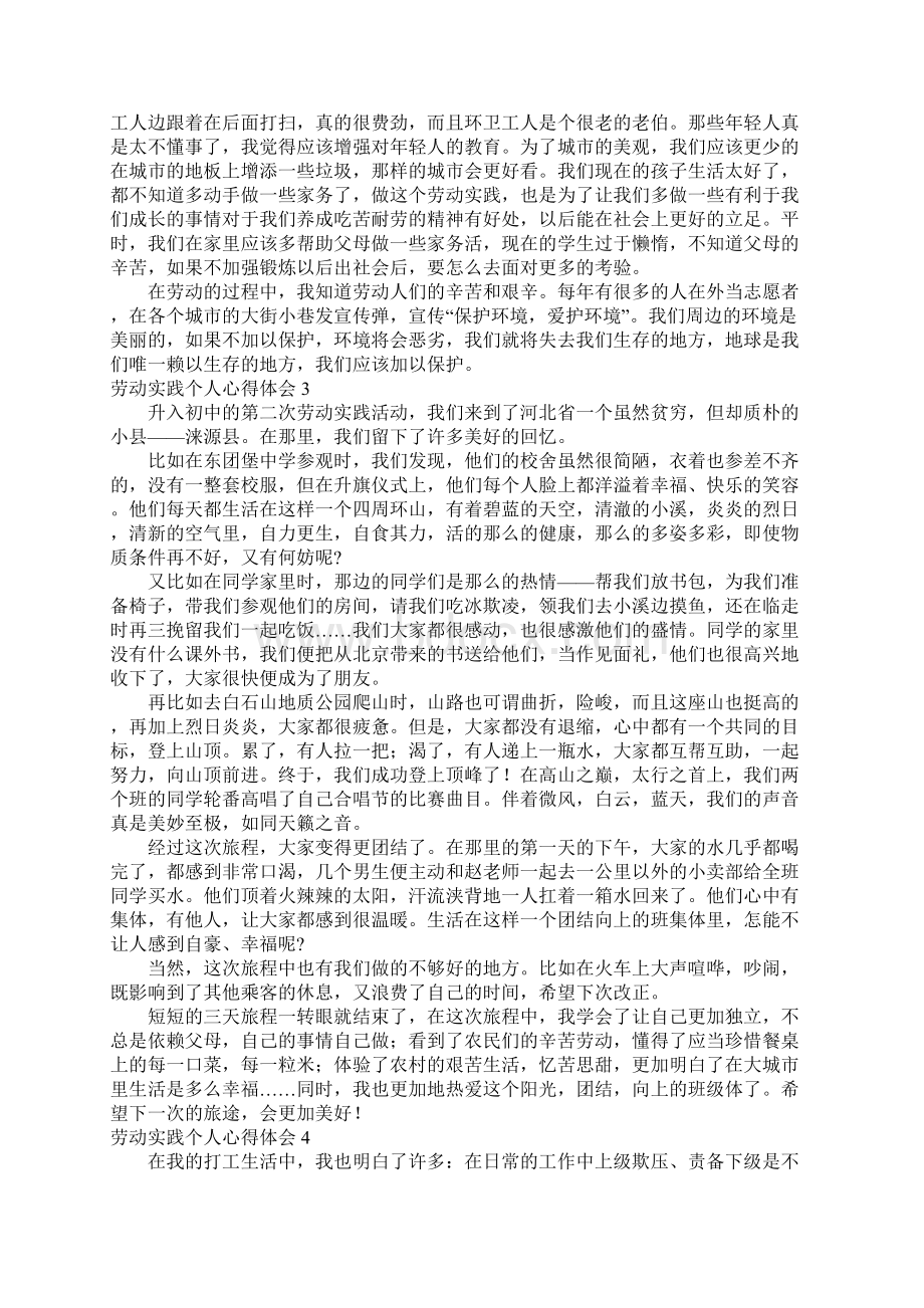 劳动实践个人心得体会精选6篇例文Word格式文档下载.docx_第3页