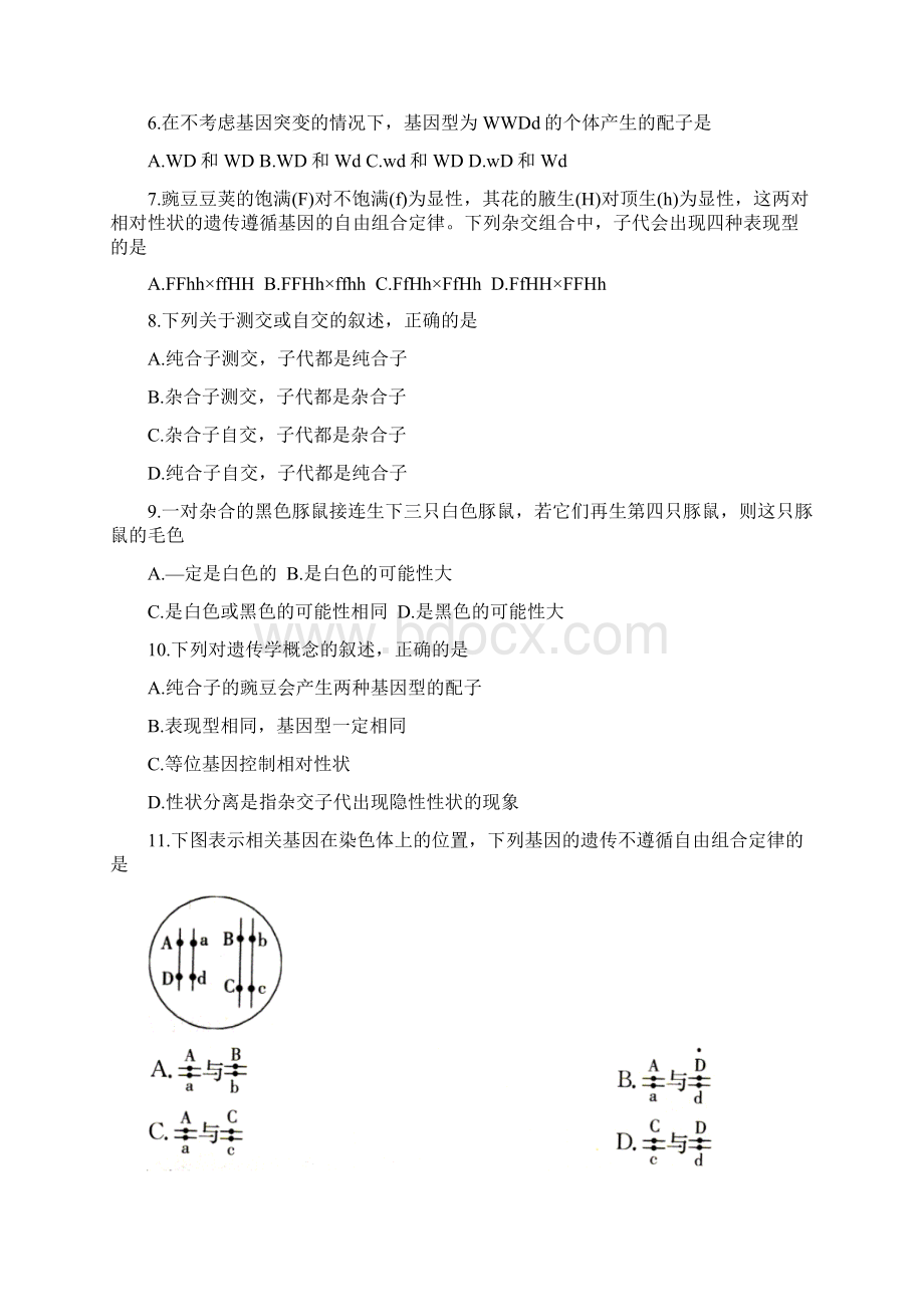 学年高一生物下学期期末考试试题新版人教版1.docx_第2页