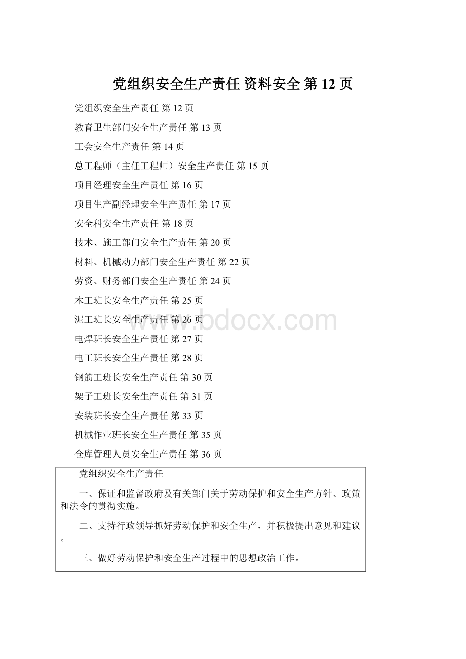 党组织安全生产责任资料安全 第 12 页.docx