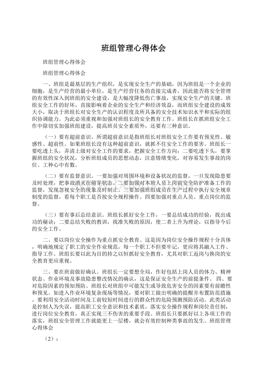 班组管理心得体会.docx