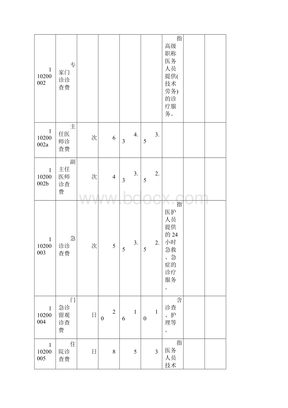 医疗项目与收费标准资料DOC.docx_第3页