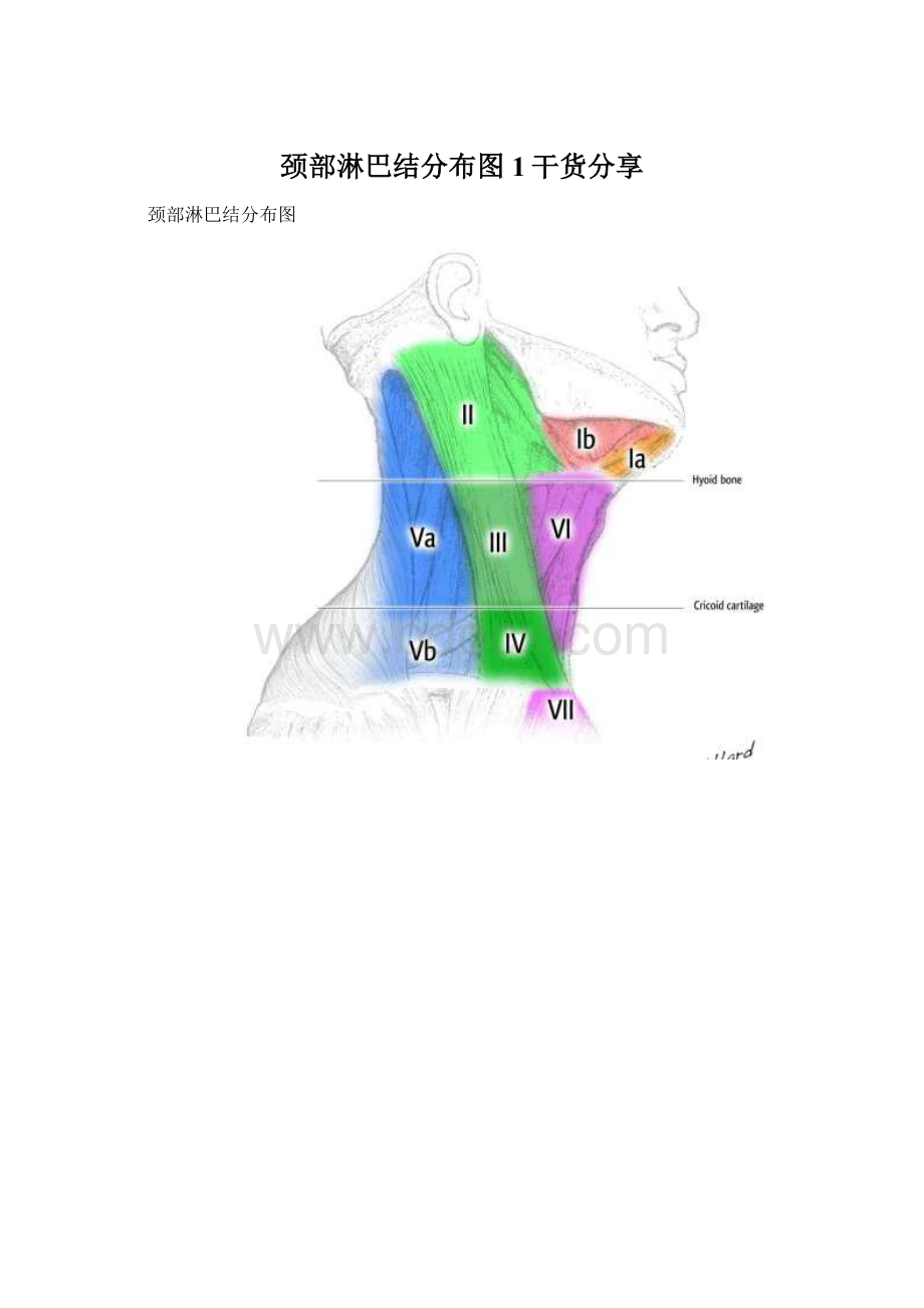 颈部淋巴结分布图1干货分享.docx