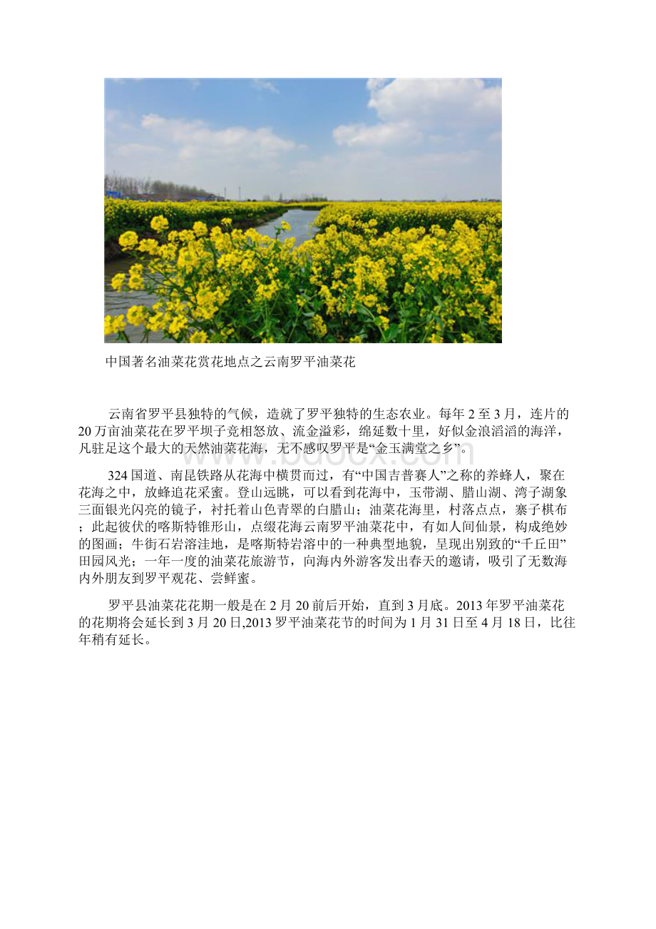 中国著名油菜花赏花地点文档格式.docx_第2页