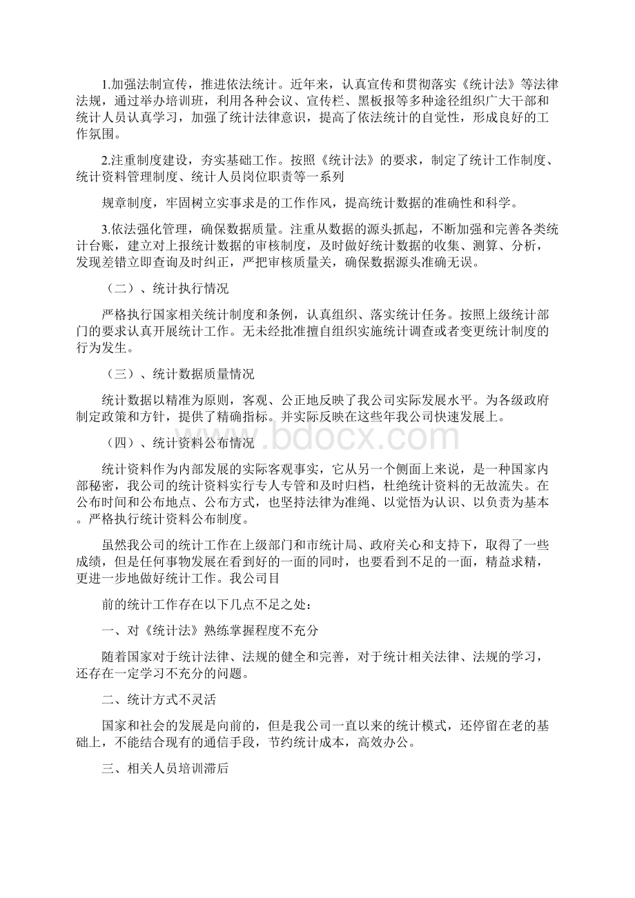 统计工作自检自查报告.docx_第2页