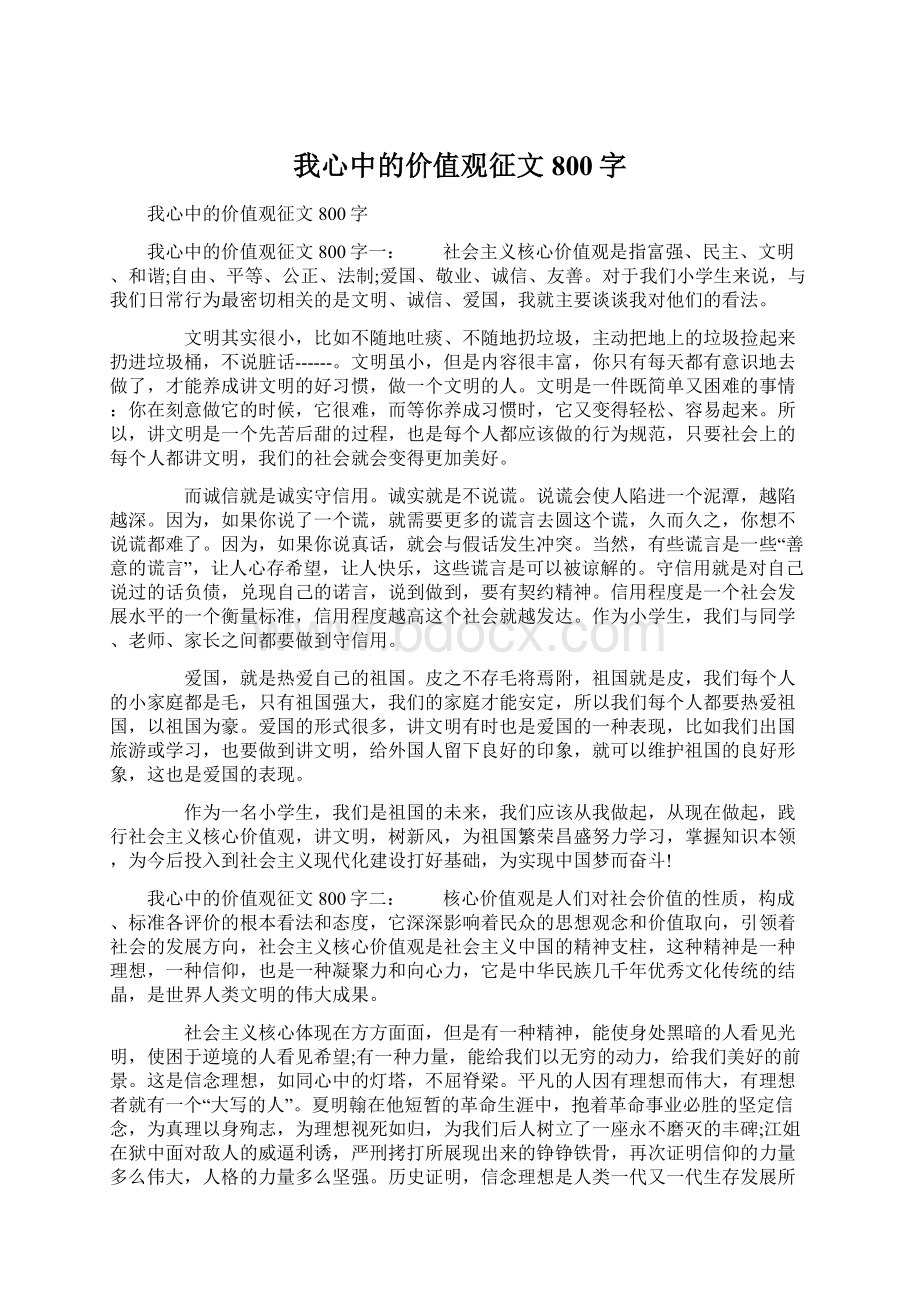 我心中的价值观征文800字文档格式.docx