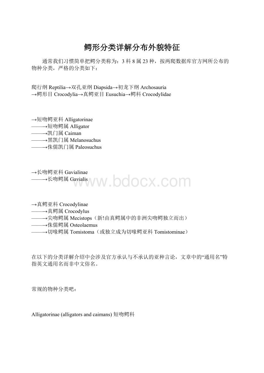 鳄形分类详解分布外貌特征Word格式文档下载.docx