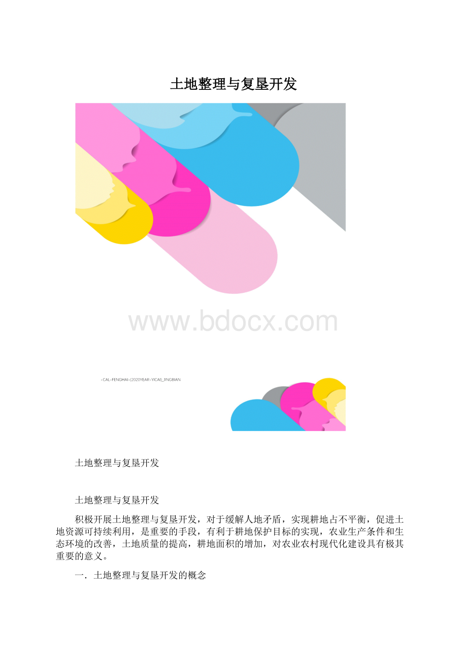 土地整理与复垦开发Word格式.docx