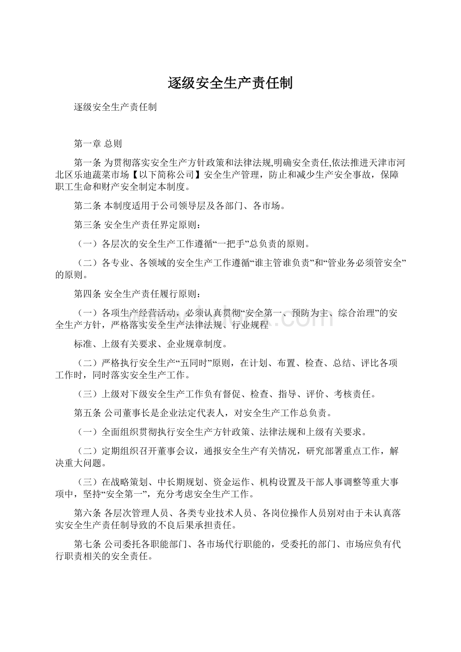 逐级安全生产责任制Word格式文档下载.docx