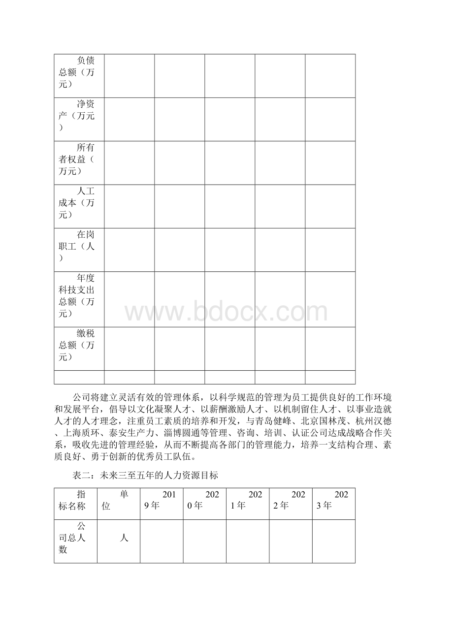 企业三至五年发展规划.docx_第2页