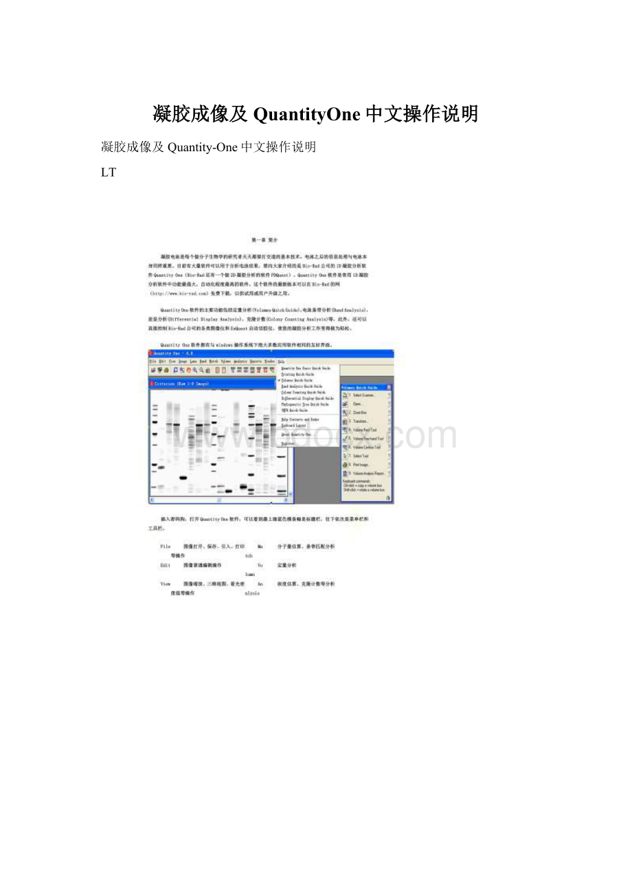 凝胶成像及QuantityOne中文操作说明.docx